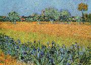 Vincent Van Gogh View of Arles With Iris Spain oil painting artist